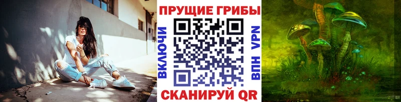 Купить  Юрьевец  Галлюциногенные грибы MAGIC MUSHROOMS 